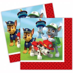 PAW PATROL